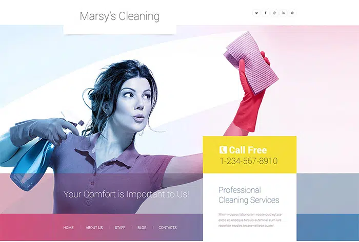  Cleaning WordPress Theme 