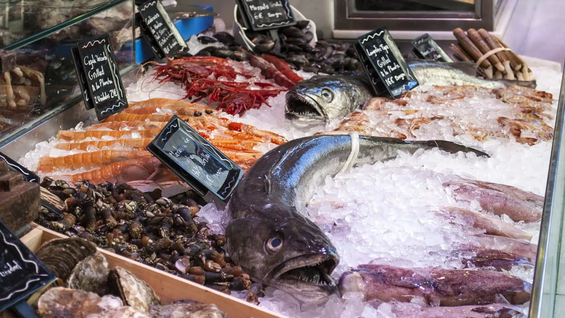 Comment bien aménager sa poissonnerie ?