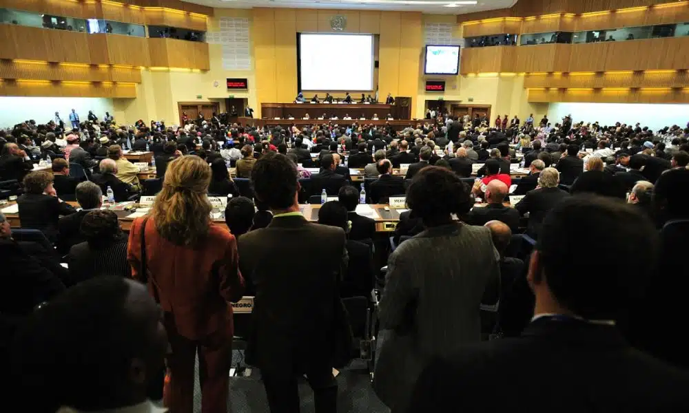 Comment choisir sa salle de séminaire à la Réunion ?