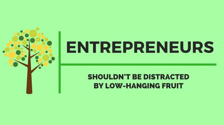 entrepreneurs low-hanging fruit